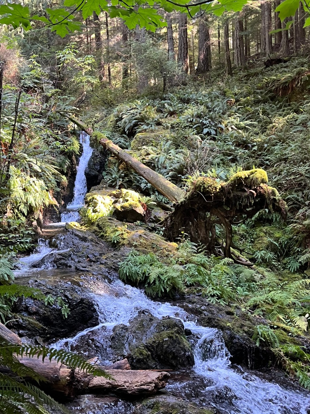 A waterfall on Orcas Island, Washington, USA
